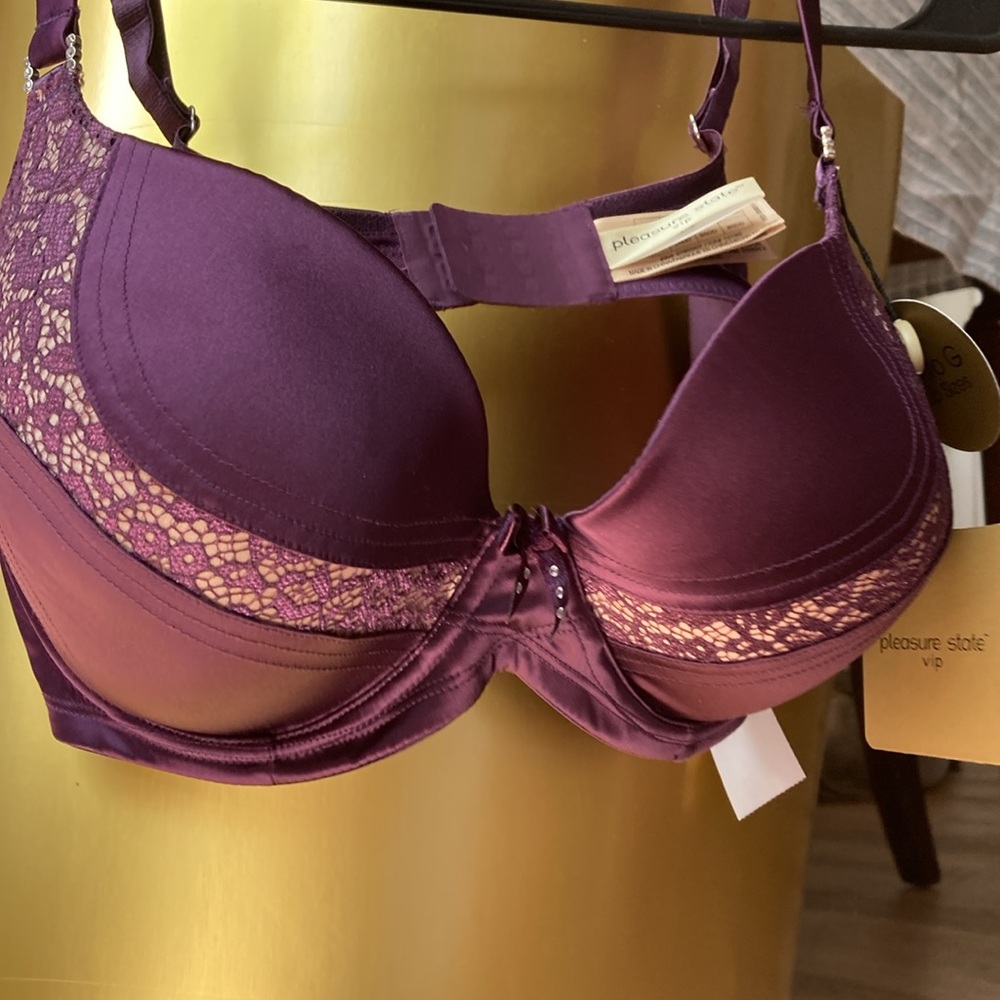 36dd pleasure state, dark purple silky, underwire bra with light padding NWT